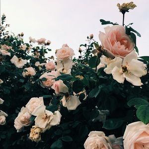 Meet your Posher, Patrick